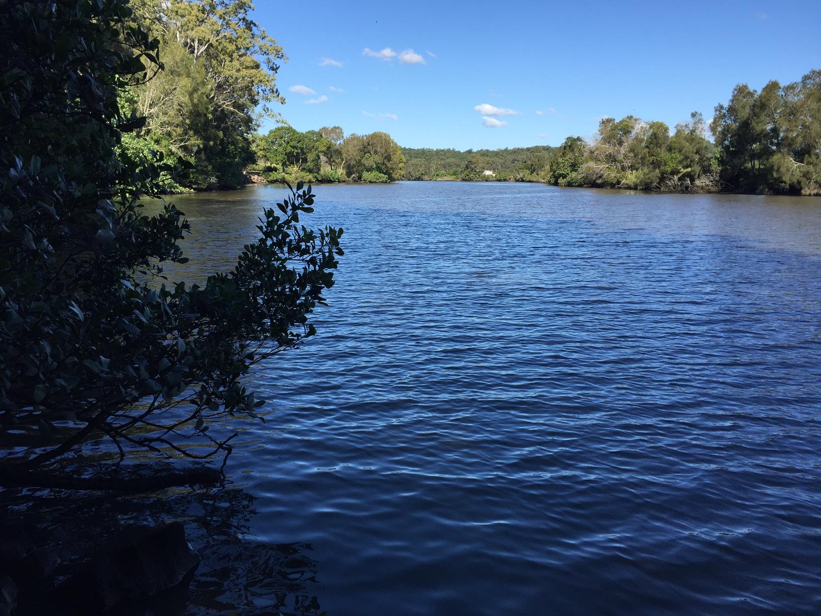 Maroochy River Canoe Trail Ashtons Wharf to Lift Bridge Adventure